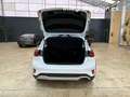 Ford Focus 1.0 Ecoboost MHEV 114kW Active Blanco - thumbnail 28