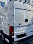 MAN Sonstige - thumbnail 2