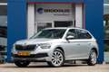 Skoda Kamiq 1.0 TSI Business Edition | Voorstoelen verwarmd | Gris - thumbnail 1