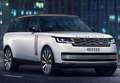 Land Rover Range Rover 4.4SDV8 Vogue Aut. Gris - thumbnail 2