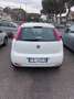 Fiat Punto 1.3 MJT II S&S 95 CV 5 porte Street Blanc - thumbnail 5