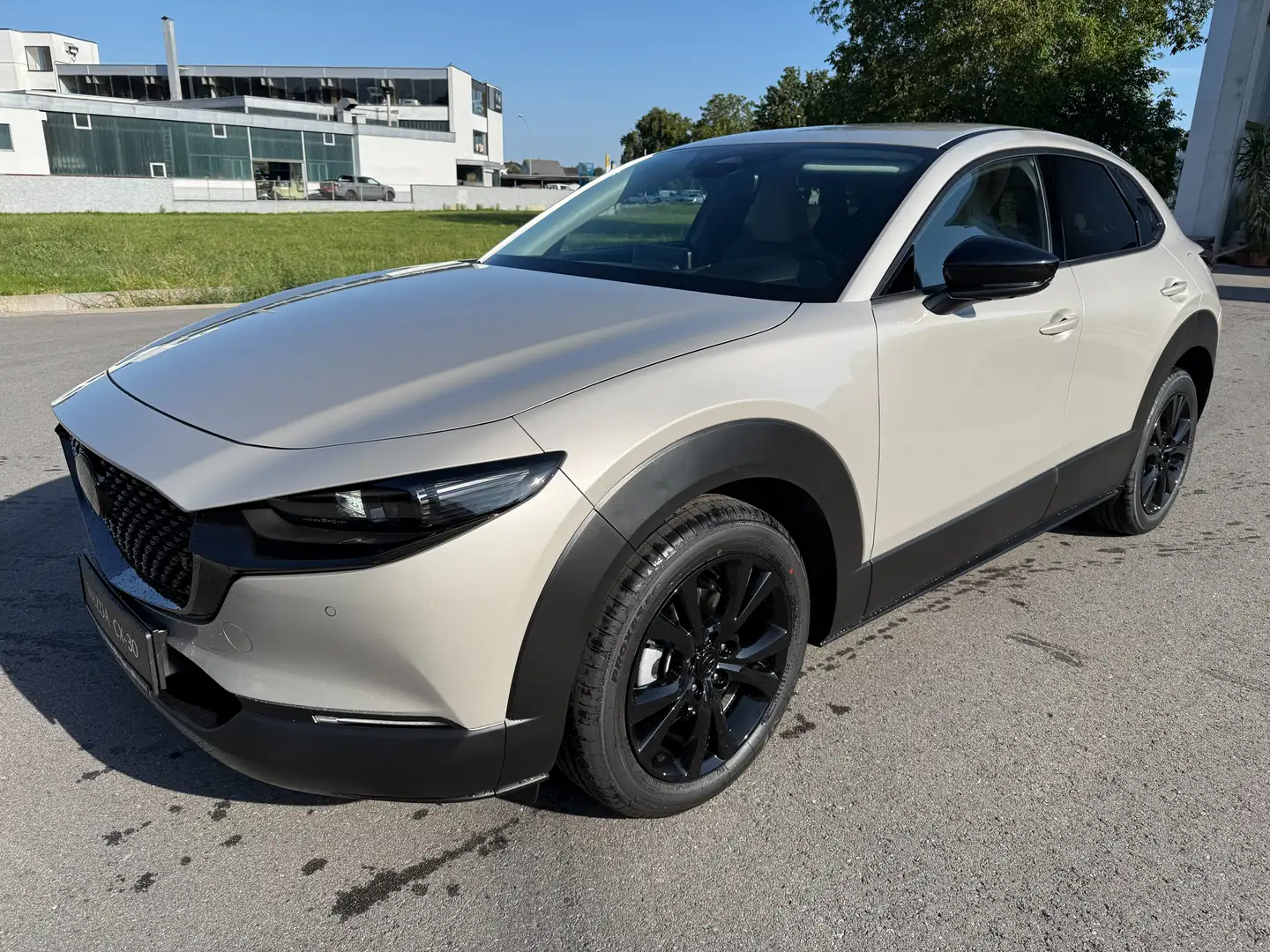 Mazda CX-30 G140 Makoto Aut. BOSE 360° Kamera Grau - 1