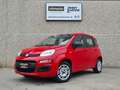 Fiat Panda 1.2 Easy Connect 69cv Rosso - thumbnail 1