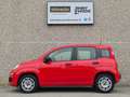 Fiat Panda 1.2 Easy Connect 69cv Rosso - thumbnail 3