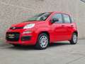 Fiat Panda 1.2 Easy Connect 69cv Rosso - thumbnail 4
