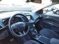 Ford Kuga 1.5 TDCi 120 CV S Powershift Titanium Noir - thumbnail 6