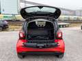 smart forTwo coupe EQ Passion SHZ Klimaautomatik PDC Rojo - thumbnail 5