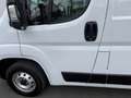 Fiat Ducato Weiß - thumbnail 6