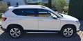 SEAT Ateca Ateca 2,0 Xperience TDI Xperience Weiß - thumbnail 4