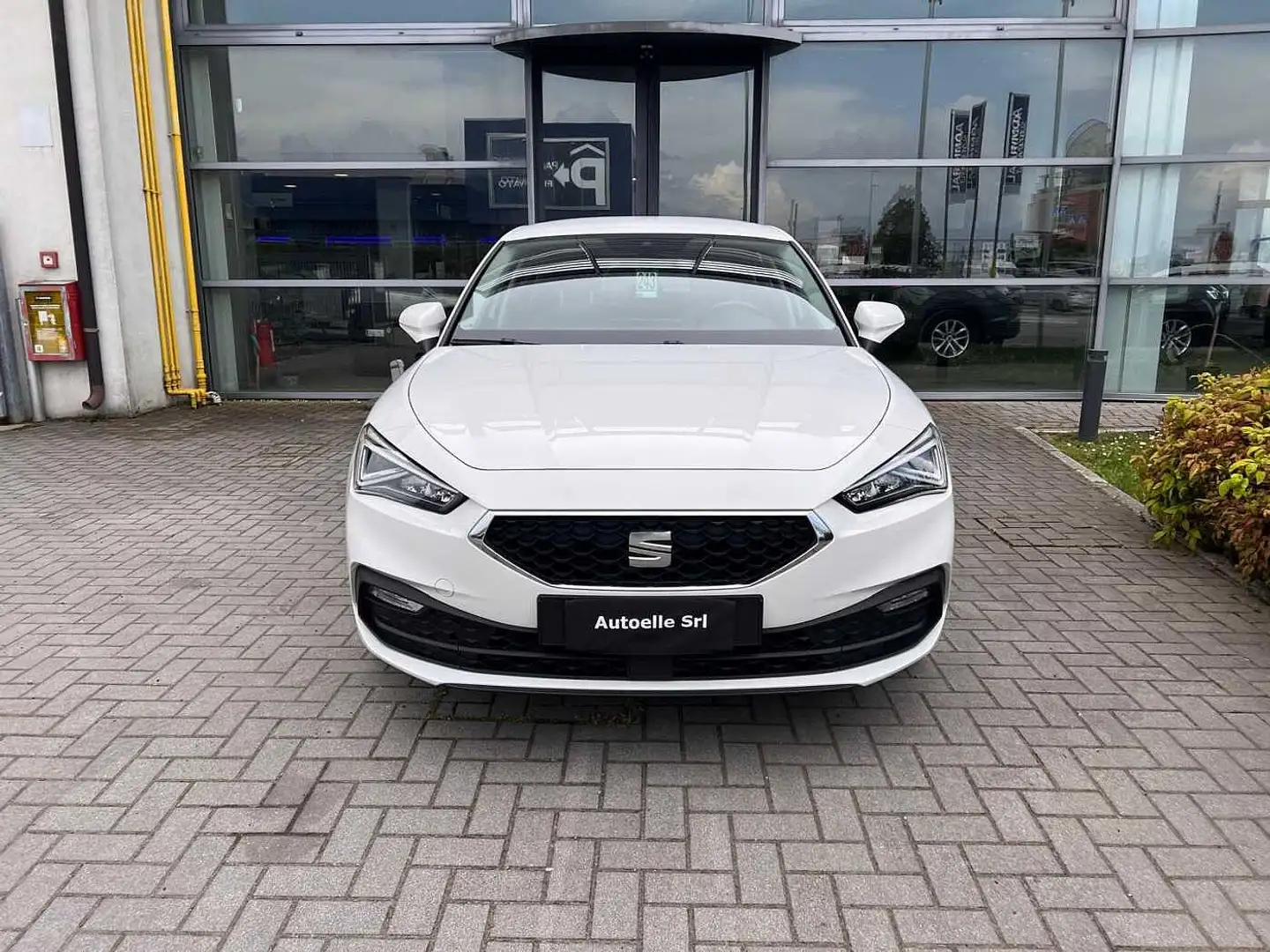 SEAT Leon 4ª serie 2.0 TDI Business Bianco - 2