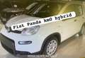 Fiat Panda 1.0 FireFly S&S Hybrid Bianco - thumbnail 1