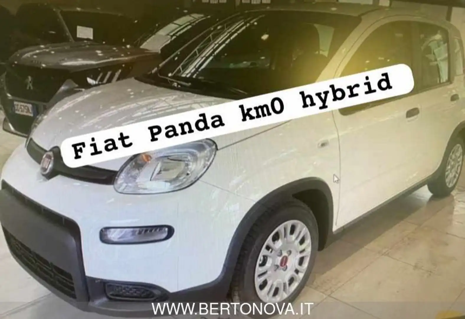 Fiat Panda 1.0 FireFly S&S Hybrid Bianco - 1