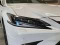 Lexus ES 300 300h F-Sport bijela - thumbnail 14