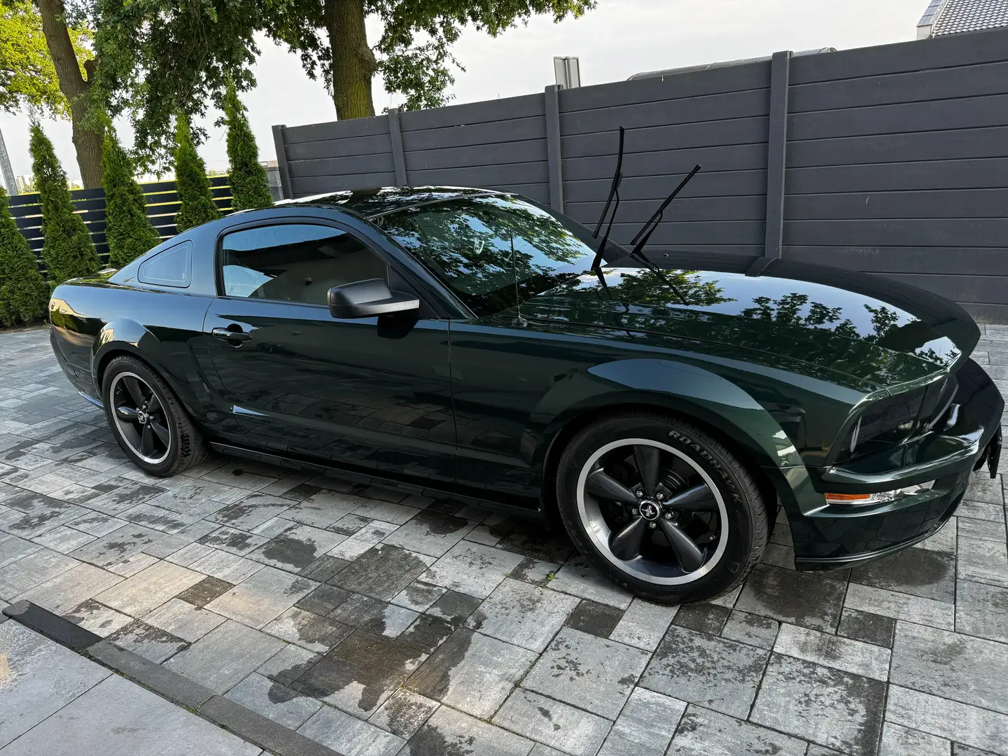 Ford Mustang Vert - 1