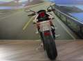 MV Agusta Brutale 800 EAS - 2013 - km 11.000 Grigio - thumbnail 4