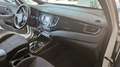 Kia Carens Carens 1.7 crdi Class 115cv Bianco - thumbnail 13
