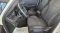 Kia Carens Carens 1.7 crdi Class 115cv Bianco - thumbnail 9