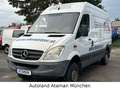 Mercedes-Benz Sprinter II Kasten 313 CDI *Allrad* 4X4 / AHK Blanc - thumbnail 1