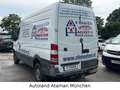 Mercedes-Benz Sprinter II Kasten 313 CDI *Allrad* 4X4 / AHK Blanc - thumbnail 12