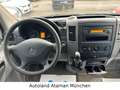 Mercedes-Benz Sprinter II Kasten 313 CDI *Allrad* 4X4 / AHK Blanc - thumbnail 4
