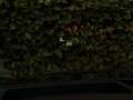 Audi A7 Sportback 3,0 TDI DPF Aut. Schwarz - thumbnail 20