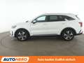 Kia Sorento 1.6 TGDI Plug-in Hybrid Platinum 4WD Aut.*LED*ACC Weiß - thumbnail 3