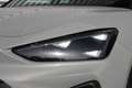 CUPRA Leon 1.5 eTSI DSG 150 PS ACT Grau - thumbnail 6