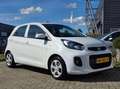 Kia Picanto 1.0 CVVT EconomyPlusLine |AIRCO|ELEKTR RAMEN|CDV Wit - thumbnail 7