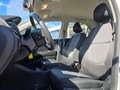 Kia Picanto 1.0 CVVT EconomyPlusLine |AIRCO|ELEKTR RAMEN|CDV Wit - thumbnail 11