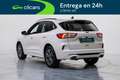 Ford Kuga 2.5 Duratec PHEV ST-Line X 4x2 Blanco - thumbnail 9