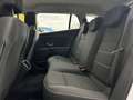 Renault Megane 1.2 TCE DeLuxe/Einparkh./Navi/HU NEU/ Blanc - thumbnail 12