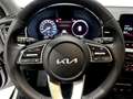 Kia XCeed 1.6 crdi mhev Business 136cv imt Bianco - thumbnail 12