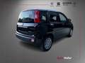 Fiat Panda 1.0 FireFly S&S Hybrid Radio Clima 5P **AKTION** Nero - thumbnail 3