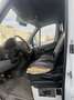 Mercedes-Benz Sprinter 313cdi no clim euro4 - thumbnail 6