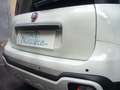 Fiat Panda Cross Pandina 1.0 FireFly Hybrid 5Posto Nuovo Mode Blanc - thumbnail 10