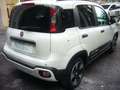 Fiat Panda Cross Pandina 1.0 FireFly Hybrid 5Posto Nuovo Mode Blanc - thumbnail 8