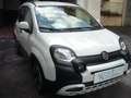 Fiat Panda Cross Pandina 1.0 FireFly Hybrid 5Posto Nuovo Mode Blanc - thumbnail 6