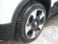 Fiat Panda Cross Pandina 1.0 FireFly Hybrid 5Posto Nuovo Mode Blanc - thumbnail 4