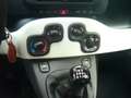 Fiat Panda Cross Pandina 1.0 FireFly Hybrid 5Posto Nuovo Mode Blanc - thumbnail 25