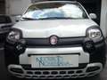 Fiat Panda Cross Pandina 1.0 FireFly Hybrid 5Posto Nuovo Mode Blanc - thumbnail 1