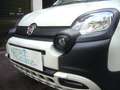 Fiat Panda Cross Pandina 1.0 FireFly Hybrid 5Posto Nuovo Mode Blanc - thumbnail 3