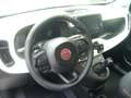 Fiat Panda Cross Pandina 1.0 FireFly Hybrid 5Posto Nuovo Mode Blanc - thumbnail 14