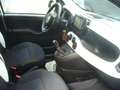 Fiat Panda Cross Pandina 1.0 FireFly Hybrid 5Posto Nuovo Mode Blanc - thumbnail 26