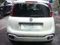 Fiat Panda Cross Pandina 1.0 FireFly Hybrid 5Posto Nuovo Mode Blanc - thumbnail 11
