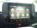 Fiat Panda Cross Pandina 1.0 FireFly Hybrid 5Posto Nuovo Mode Blanc - thumbnail 23
