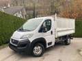 Fiat Ducato 35 Maxi L3 Kipper Weiß - thumbnail 1