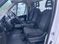 Fiat Ducato 35 Maxi L3 Kipper Weiß - thumbnail 5