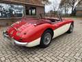 Austin-Healey 3000 BJ7, 1963 Rot - thumbnail 6