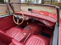 Austin-Healey 3000 BJ7, 1963 Rot - thumbnail 14
