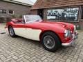 Austin-Healey 3000 BJ7, 1963 Rot - thumbnail 4